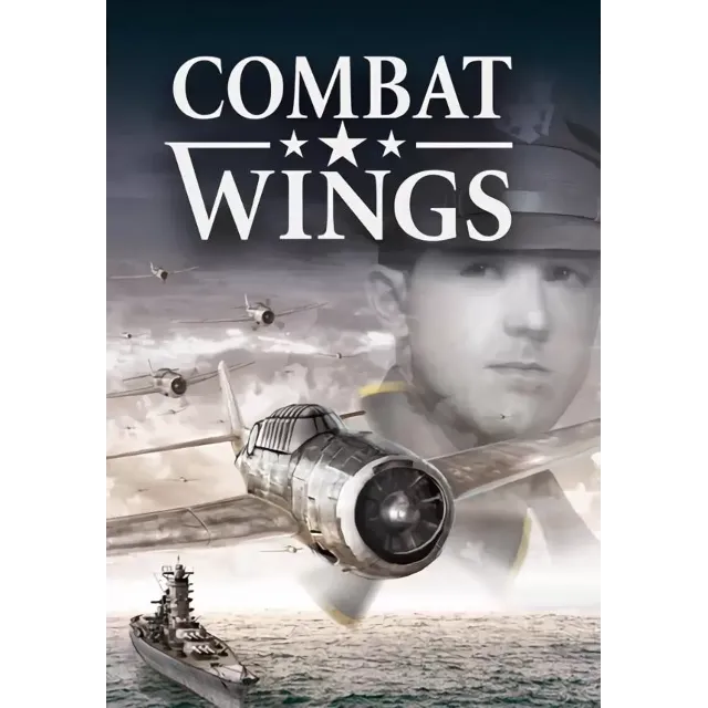 Combat Wings (STEAM Ключ) Регион: Все страны