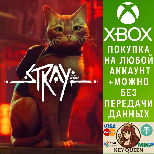 Stray Xbox One &amp; Xbox Series X|S &amp; PC