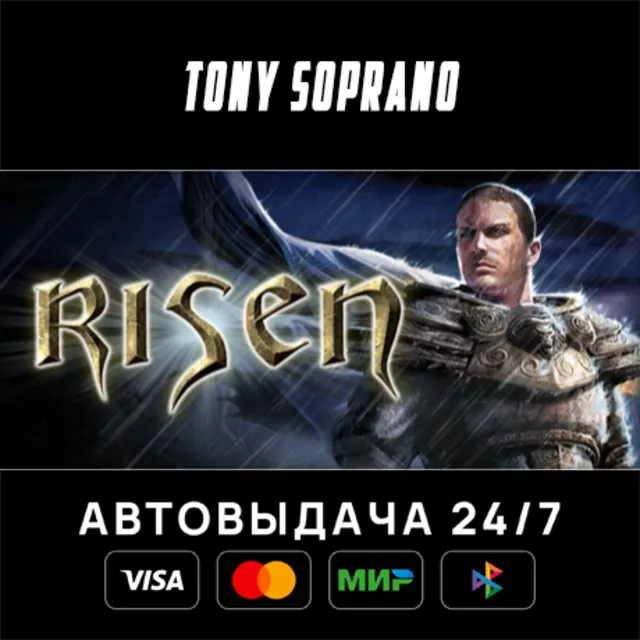 Risen STEAM GIFT