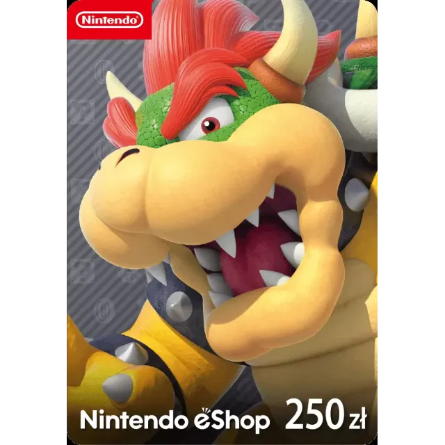 Nintendo eShop Card 250zl