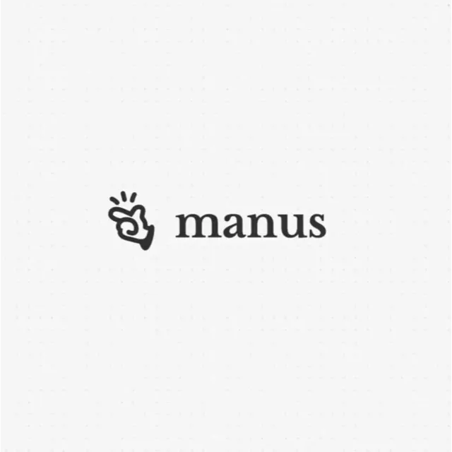 Manus AI - 1 - 12 месяцев