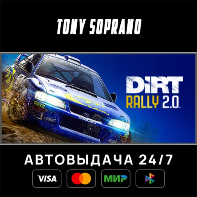 DiRT Rally 2.0 STEAM GIFT