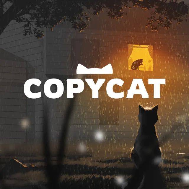 Copycat PlayStation (PSN) buy in your account