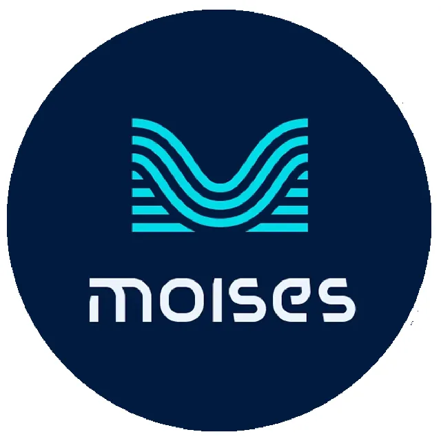Moises Premium | Подписка на 1–12 месяцев для вашего аккаунта
