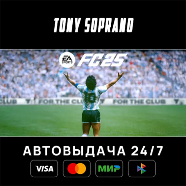 EA SPORTS FC™ 25 STEAM GIFT