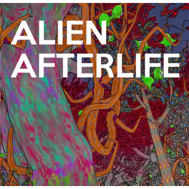 🔥🔥 AlienAfterlife /Steam Ключ / РФ+СНГ