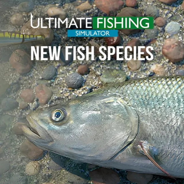 🔥🔥 Ultimate Fishing Simulator - New Fish Species /Steam Ключ / Только  Европа