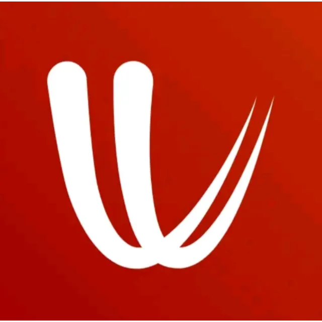 Подписка на премиум-аккаунт Windy.com на 1 год
