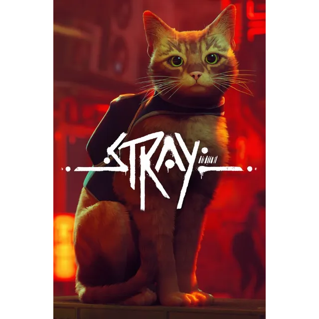 Stray Xbox – Purchase for Your Account