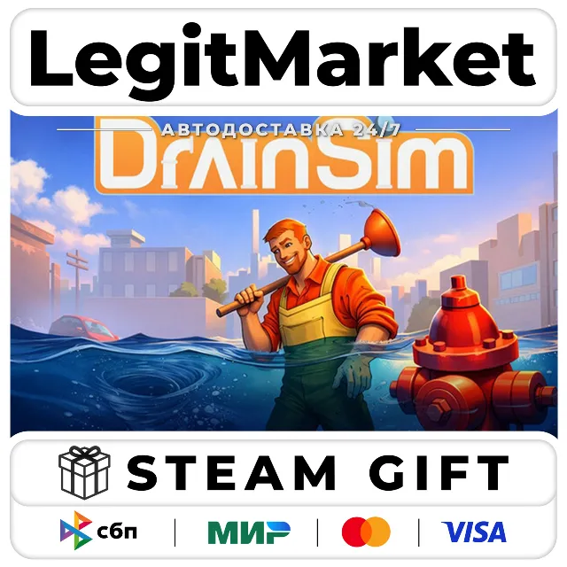 DrainSim / Steam АВТО / РУ + МИР