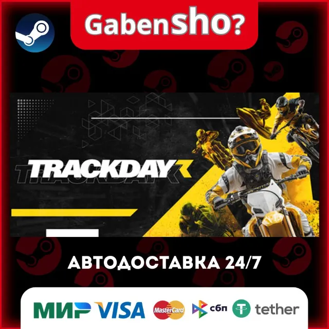 TrackDayR СТИМ Steam Gift