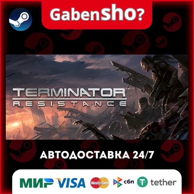 Terminator: Resistance СТИМ Steam Gift