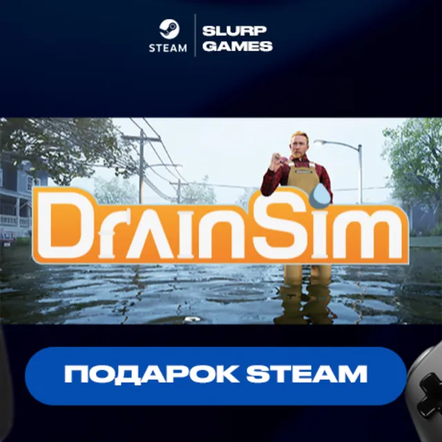 🖤DrainSim STEAM GIFT🖤