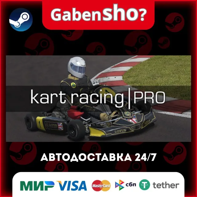 Kart Racing Pro СТИМ Steam Gift