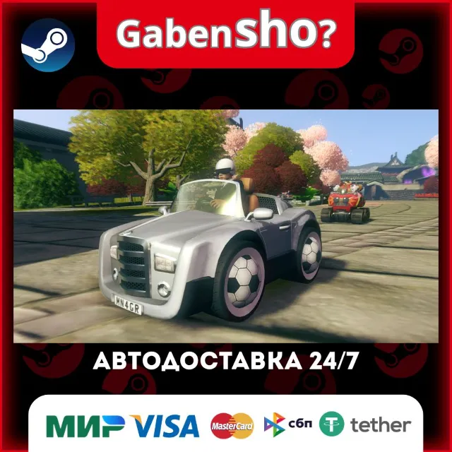 Sonic &amp; All-Stars Racing Transformed Collection СТИМ Steam Gift