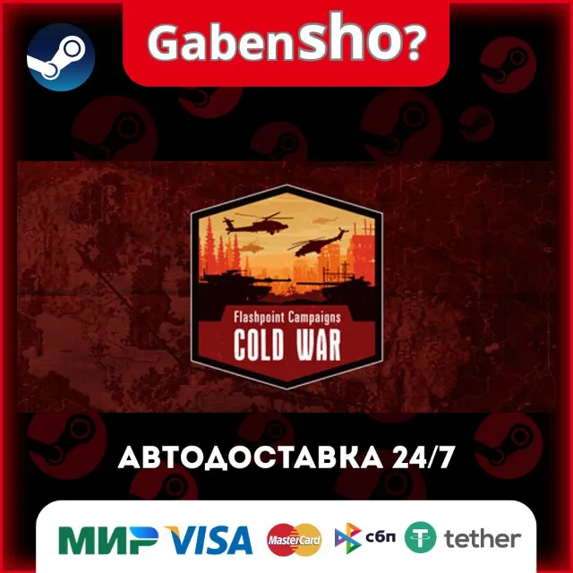 Flashpoint Campaigns: Cold War СТИМ Steam Gift