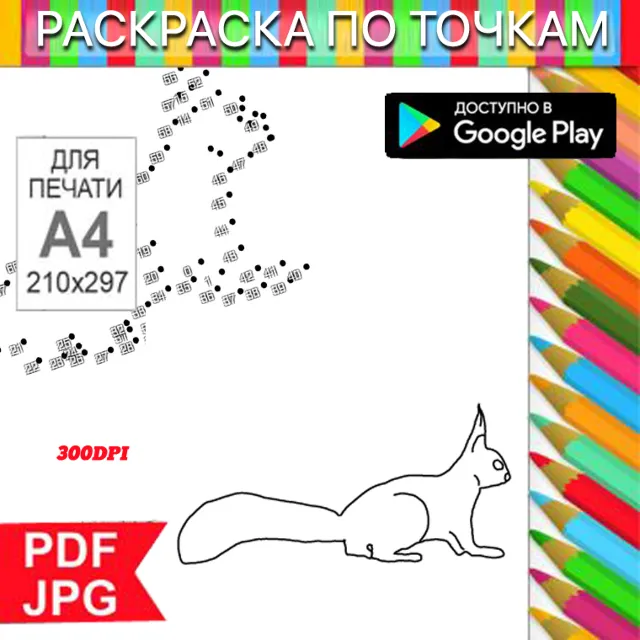 Белка Раскраска По точкам Антистресс для распечатки на принтере и Android