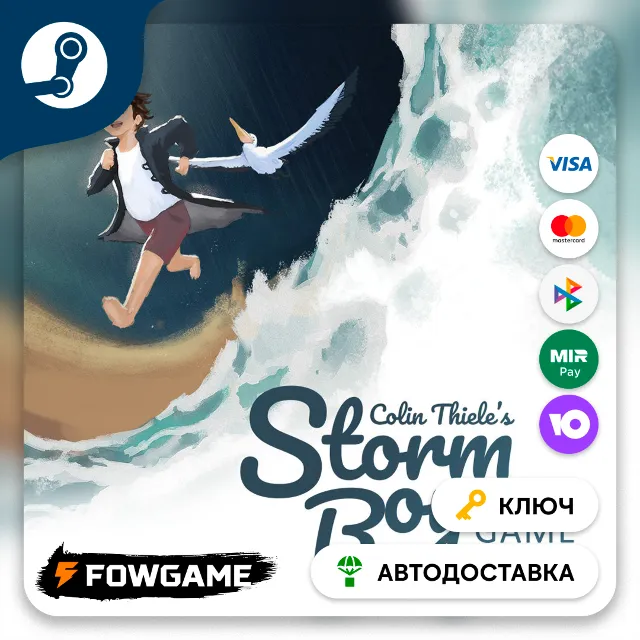 🔵 Storm Boy (РУ+СНГ) 🔑КЛЮЧ STEAM