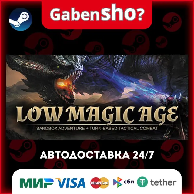 Low Magic Age СТИМ Steam Gift