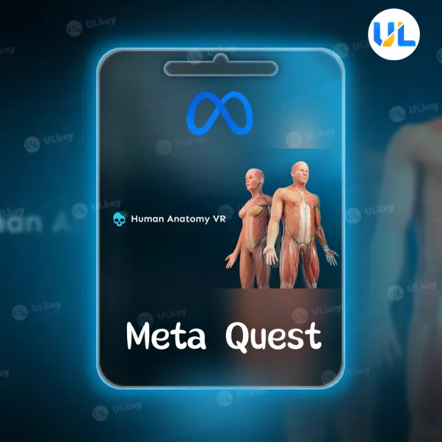 Human Anatomy VR для Meta Quest / Oculus Quest | Услуга активации