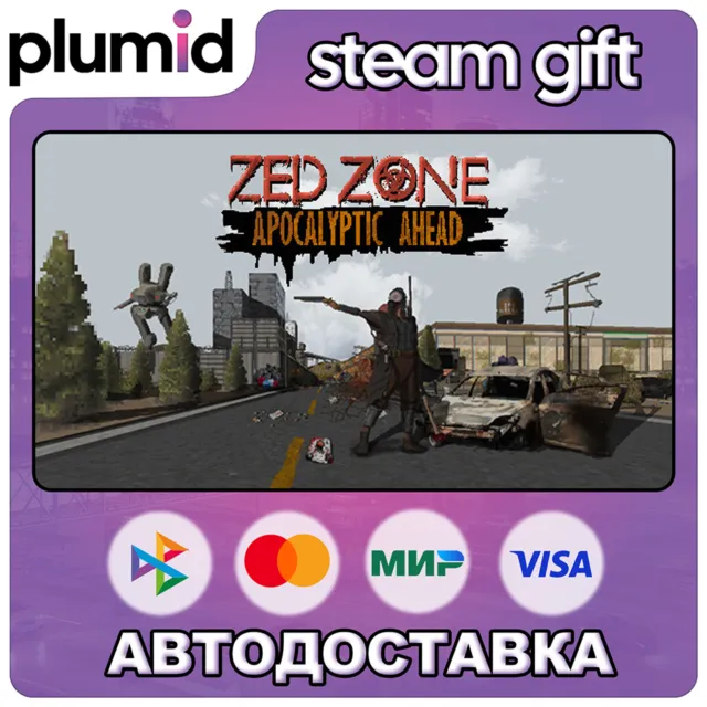 ZED ZONE Steam Gift / Россия + МИР / АВТО