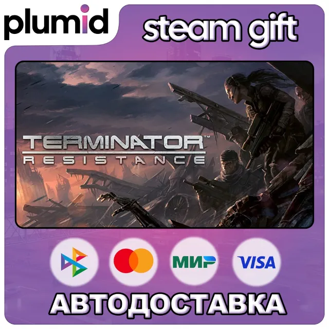 Terminator: Resistance Steam Gift / Россия + МИР / АВТО
