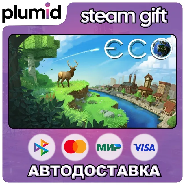 Eco Steam Gift / Россия + МИР / АВТО