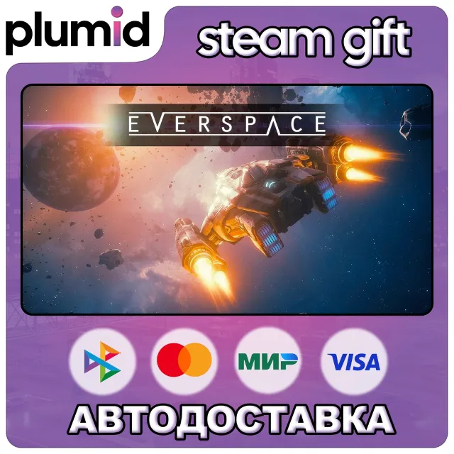 EVERSPACE Steam Gift / Россия + МИР / АВТО