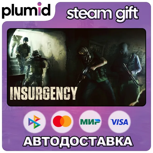 Insurgency Steam Gift / Россия + МИР / АВТО
