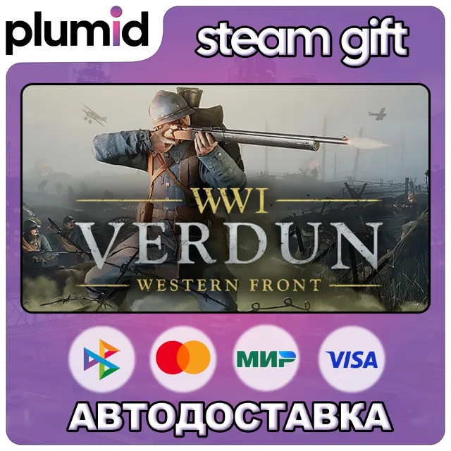 Verdun Steam Gift / Россия + МИР / АВТО