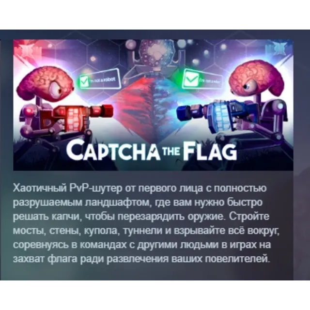 Captcha The Flag АВТОДОСТАВКА STEAM GLOBAL МГНОВЕННО ЛИЦЕНЗИЯ