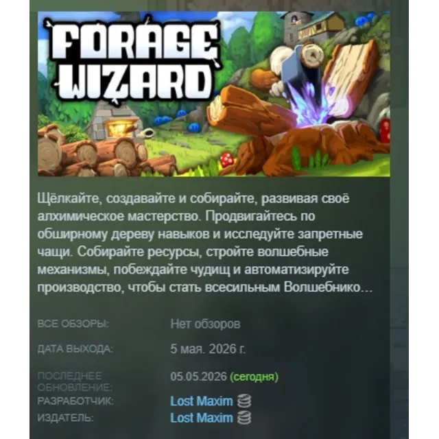 Forage Wizard АВТОДОСТАВКА STEAM GLOBAL МГНОВЕННО ЛИЦЕНЗИЯ
