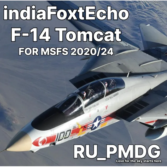 indiaFoxtEcho F-14 Tomcat for MSFS2020/24