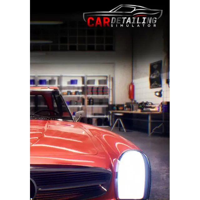 Car Detailing Simulator (Steam/WW)
