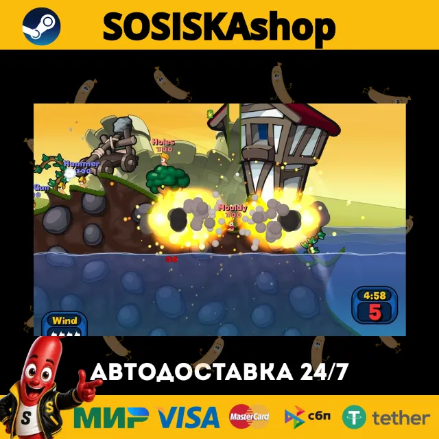 Worms Reloaded + ВЫБОР РЕГИОНА STEAM