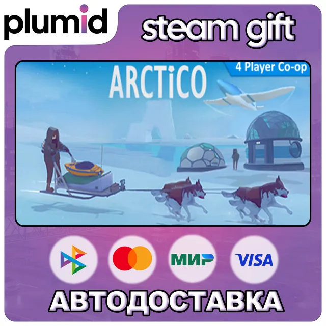 Arctico Steam Gift / Россия + МИР / АВТО