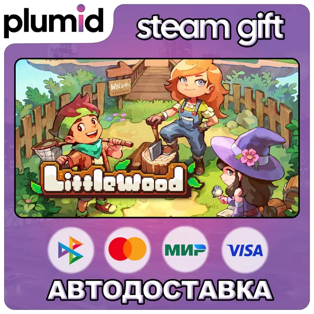 Littlewood Steam Gift / Россия + МИР / АВТО