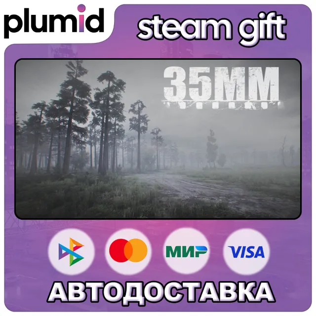 35MM Steam Gift / Россия + МИР / АВТО