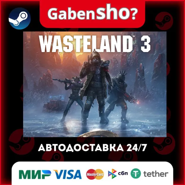 Wasteland 3 СТИМ Steam Gift