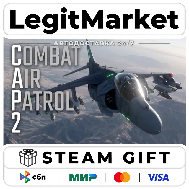 Combat Air Patrol 2: Military Flight Simulator / Steam АВТО / РУ + МИР