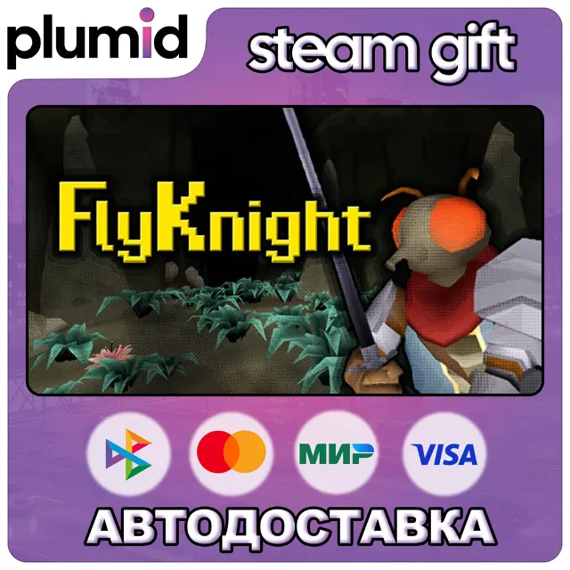FlyKnight Steam Gift / Россия + МИР / АВТО