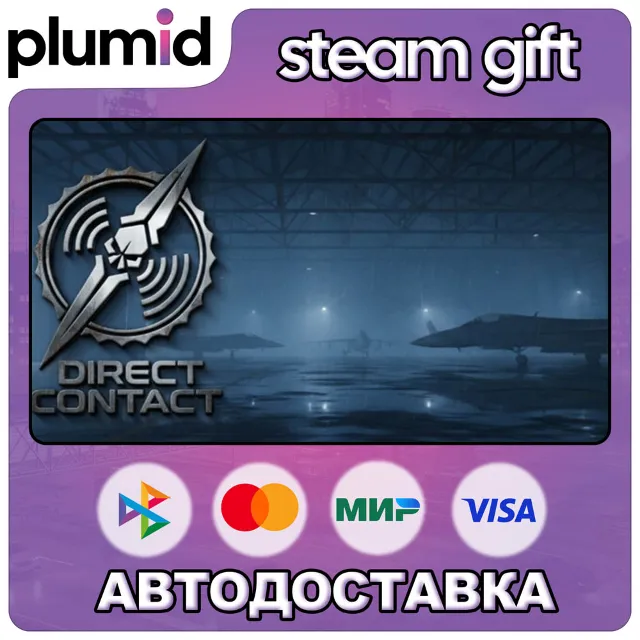 DIRECT CONTACT Steam Gift / Россия + МИР / АВТО