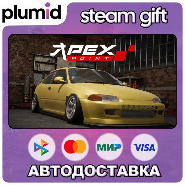 Apex Point Steam Gift / Россия + МИР / АВТО