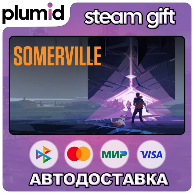 Somerville Steam Gift / Россия + МИР / АВТО