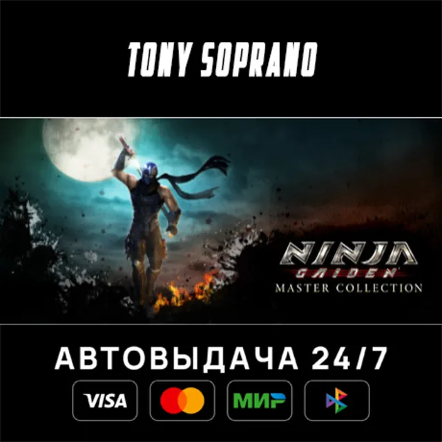 NINJA GAIDEN: Master Collection STEAM GIFT