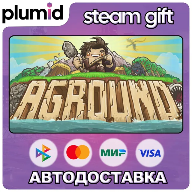 Aground Steam Gift / Россия + МИР / АВТО