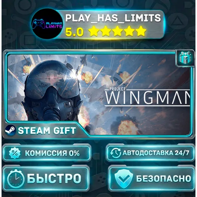 🎁Project Wingman *RU/BY/UA/СНГ Steam Auto