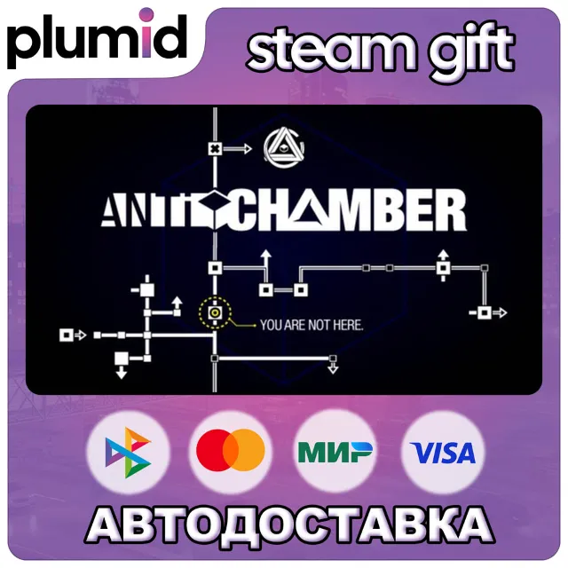 Antichamber Steam Gift / Россия + МИР / АВТО