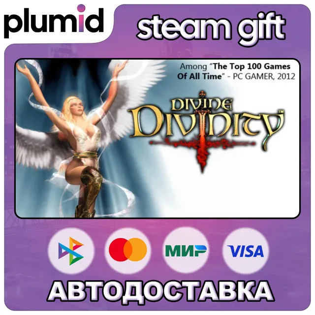 Divine Divinity Steam Gift / Россия + МИР / АВТО