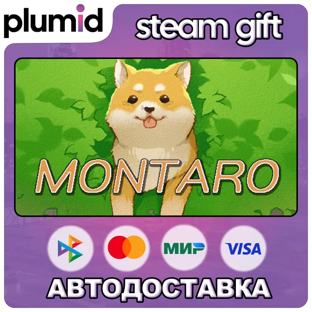 Montaro Steam Gift / Россия + МИР / АВТО
